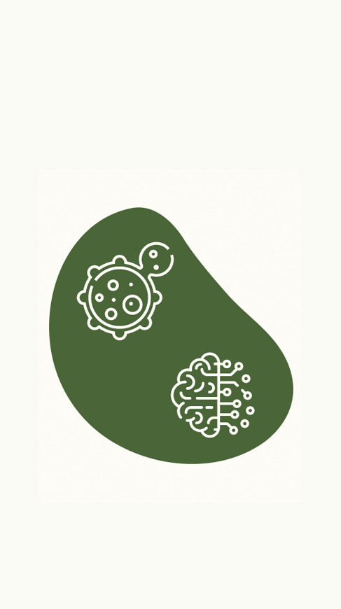 Anti-cancer support and neurotrophic health for Reishi