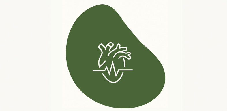 Cardio support icon for mobile