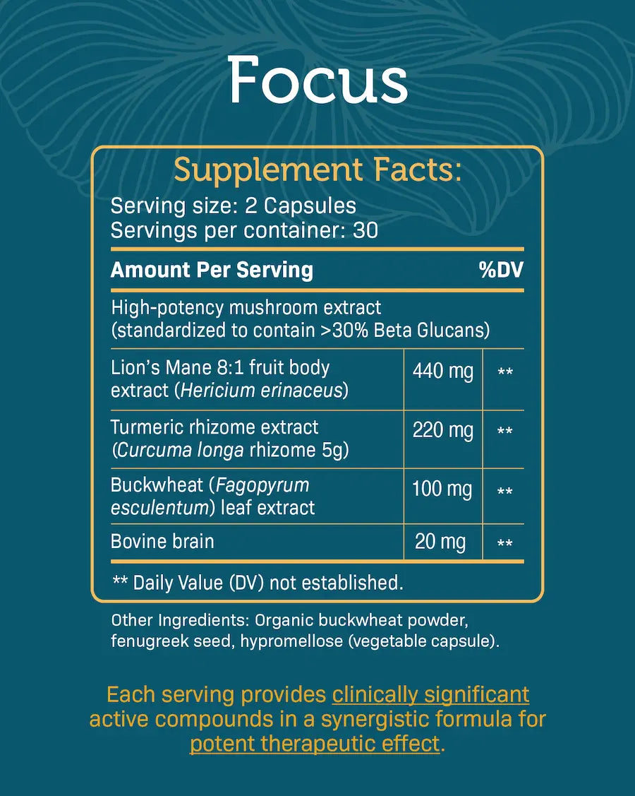 Focus