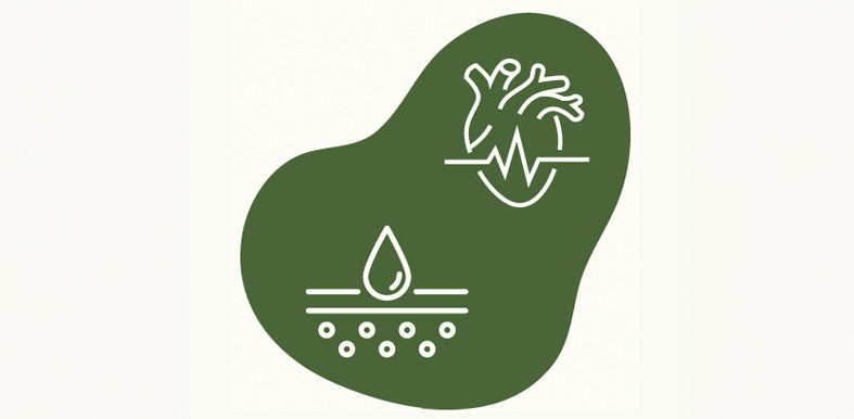 Heart and skin support icon for mobile