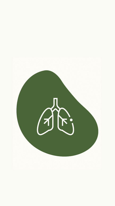 Lung health icon for Shiitake mushroom