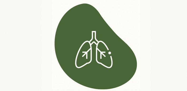 Lung support icon for mobile