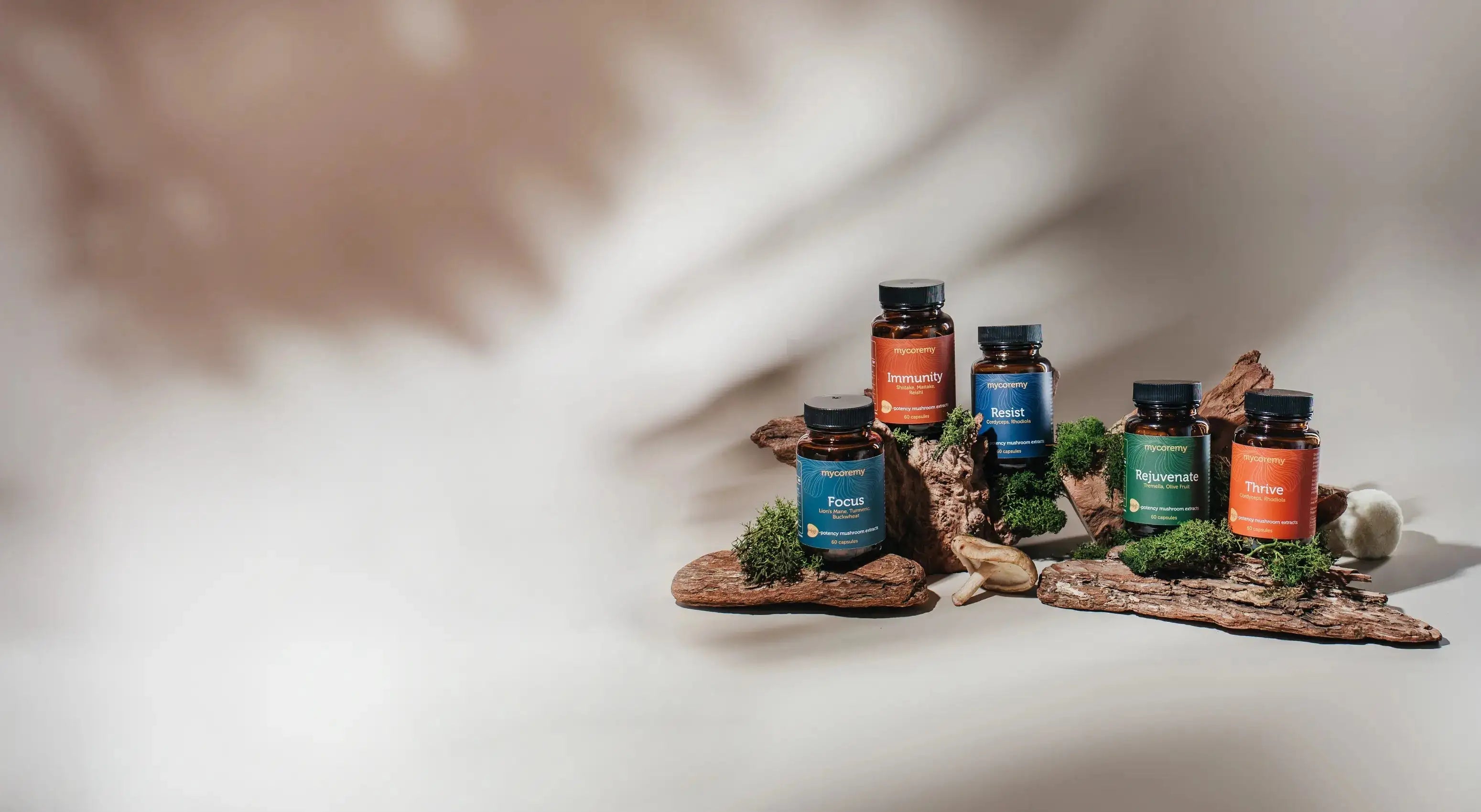 Mycoremy Mushroom Supplement product banner. All products