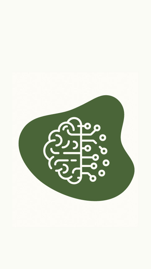 Brain health icon for Lion's Mane