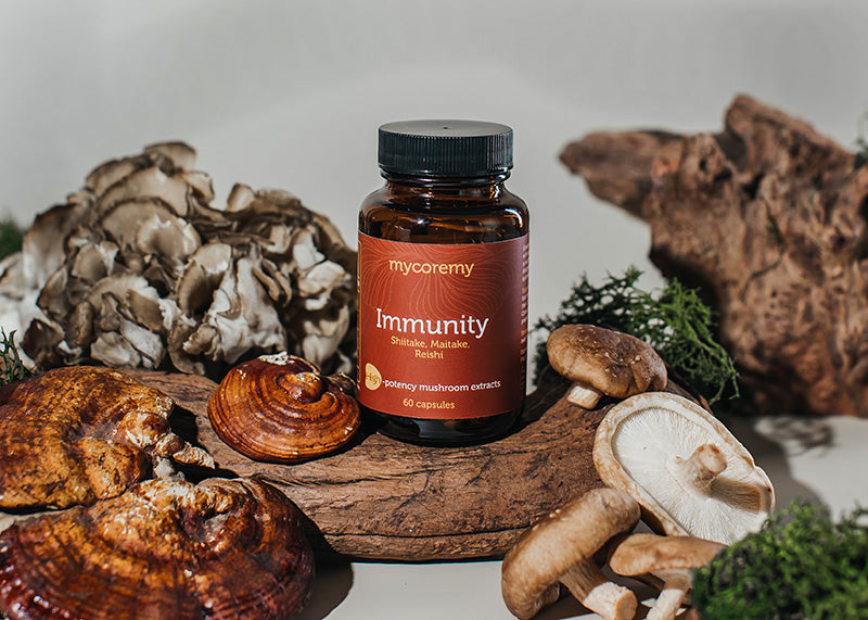 MycoRemy Immunity supplement bottle with shiitake, maitake, and reishi mushrooms arranged around it.