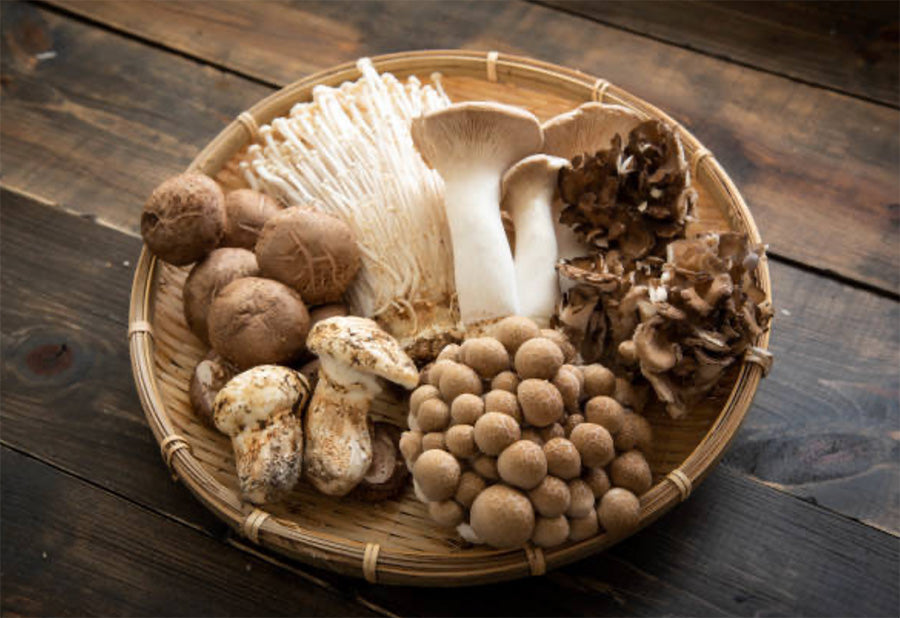 Variety of mushrooms in a basket, including shiitake, enoki, maitake, and other gourmet types on a wooden table