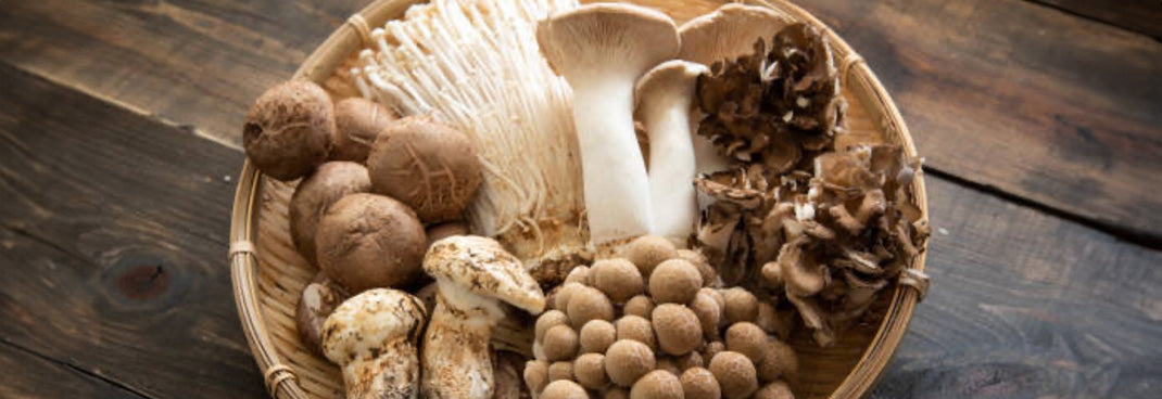 Functional Mushrooms mix