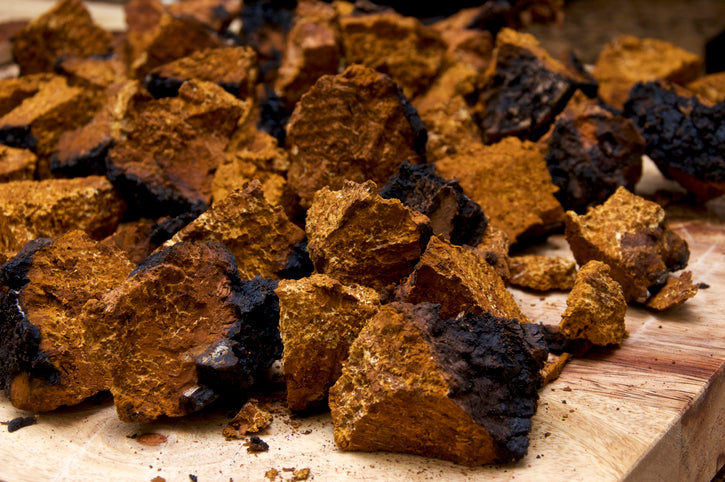 Close-up of raw chaga mushroom chunks with rough, textured surfaces in shades of brown and black