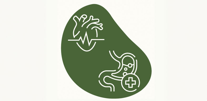 Cardio and digestive support icon for mobile