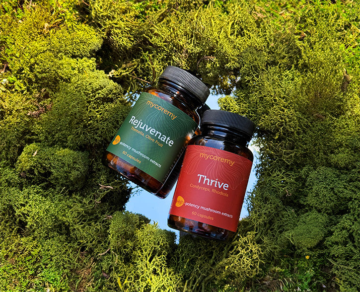 Two bottles of MycoRemy supplements, labeled 'Rejuvenate' and 'Thrive,' placed on a lush green moss background. The price is displayed as $45.50