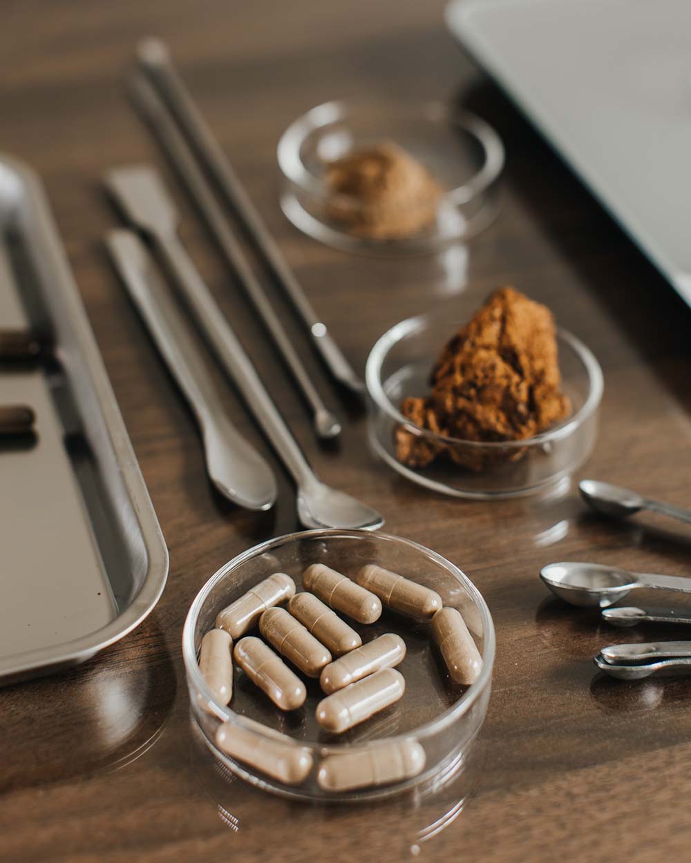 Close-up of mushroom capsules and powdered extracts in petri dishes on a lab table with measuring tools