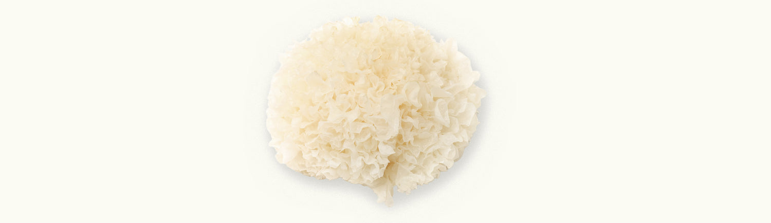 Close-up image of tremella mushrooms showcasing their white, fluffy texture for health benefits