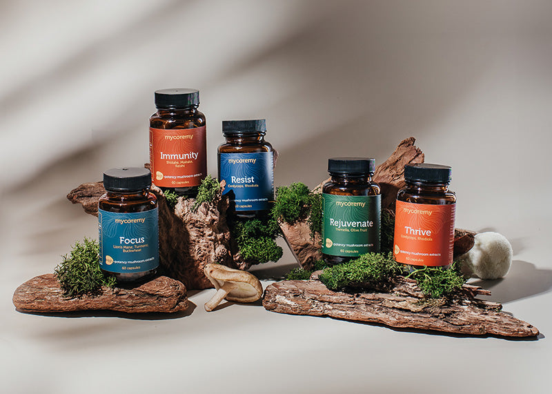 MycoRemy supplement bottles Focus, Immunity, Resist, Rejuvenate, Thrive—displayed on wood with moss