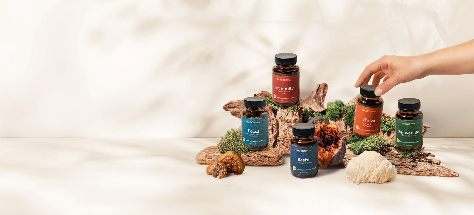 Mushroom supplement bottles with labels on a natural wood and stone background