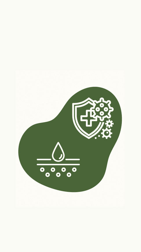 Immunity and skin health icons for Chaga