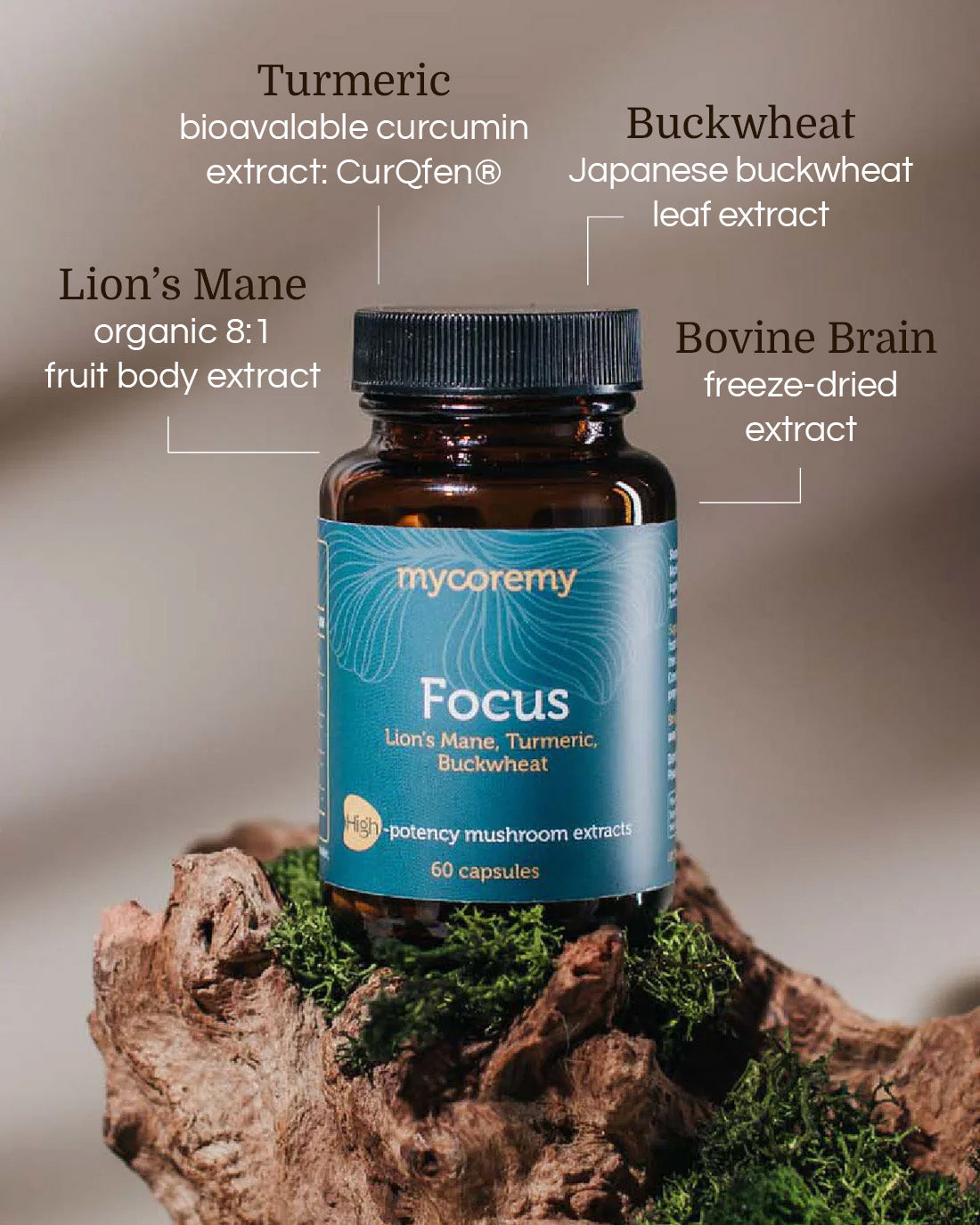 Mycoremy Focus supplement bottle with Lion&