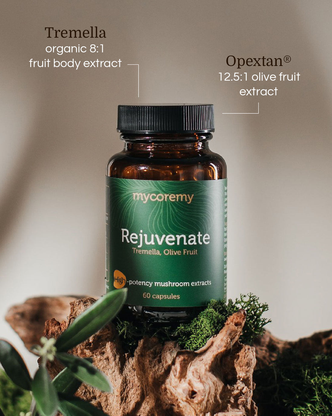 Mycoremy Rejuvenate supplement bottle with Tremella and oilve fruit extracts  