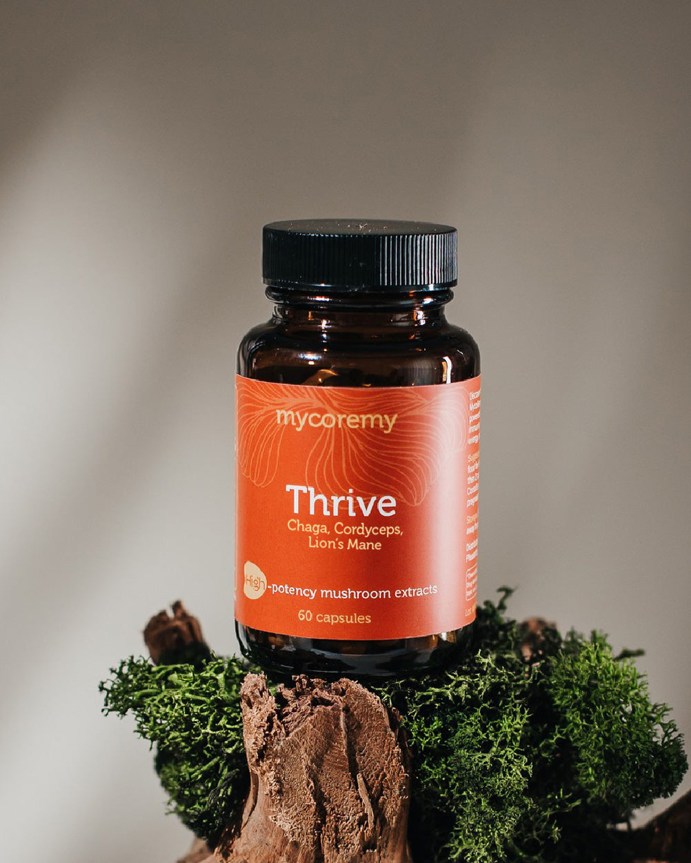 MycoRemy Thrive supplement high potency mushroom extracts with Chaga, Cordyceps, and Lion&