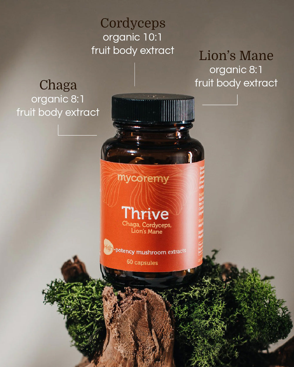 Mycoremy Thrive supplement with Chaga, Cordyceps, and Lion&