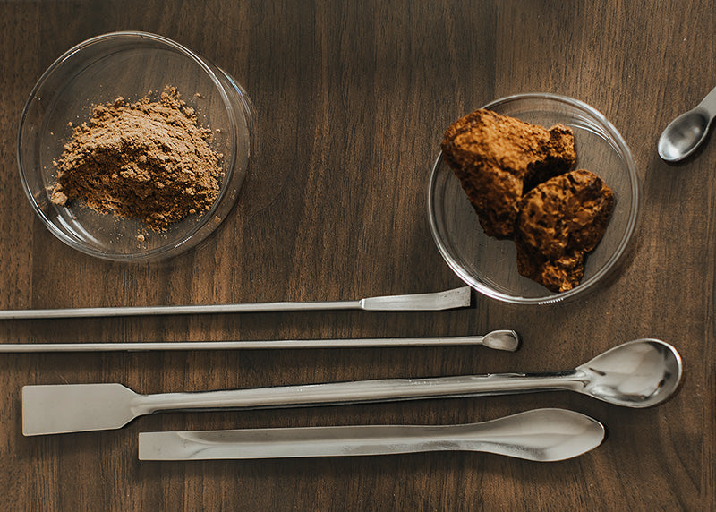 Powdered and whole mushroom samples in glass dishes on a wooden table with various metal lab spoons