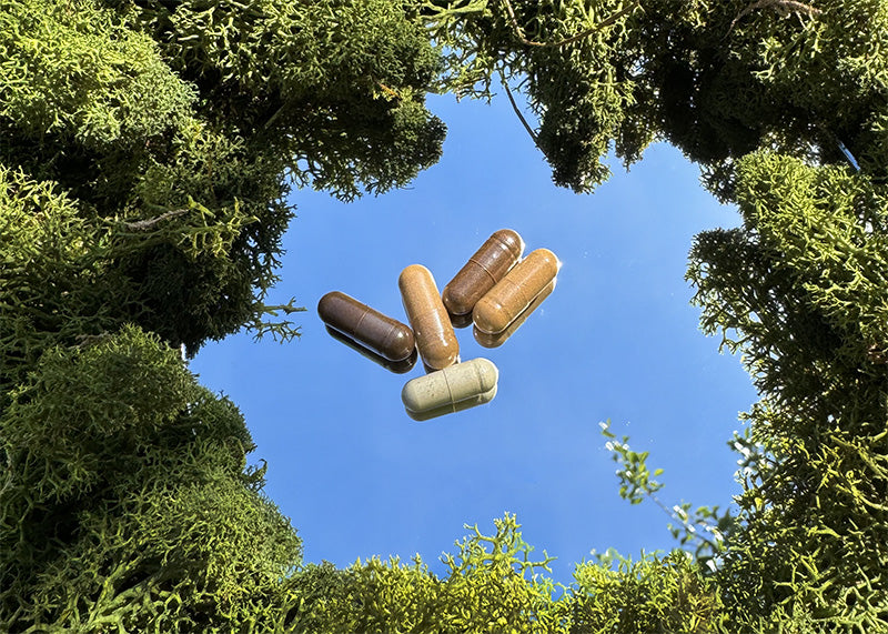 Assorted supplement capsules placed on a reflective surface surrounded by green moss, mirroring the sky